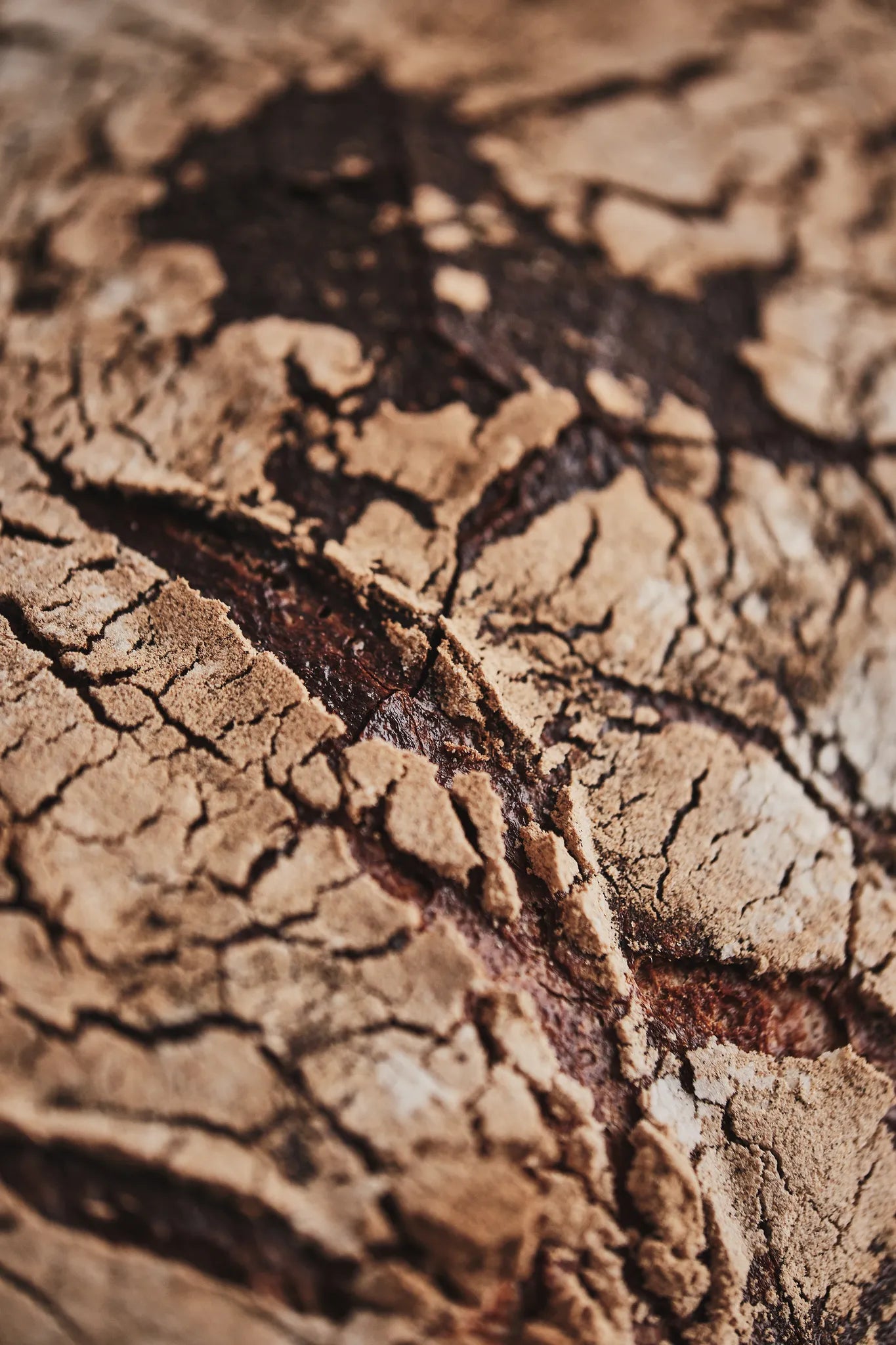 Schlesisches Bauernbrot