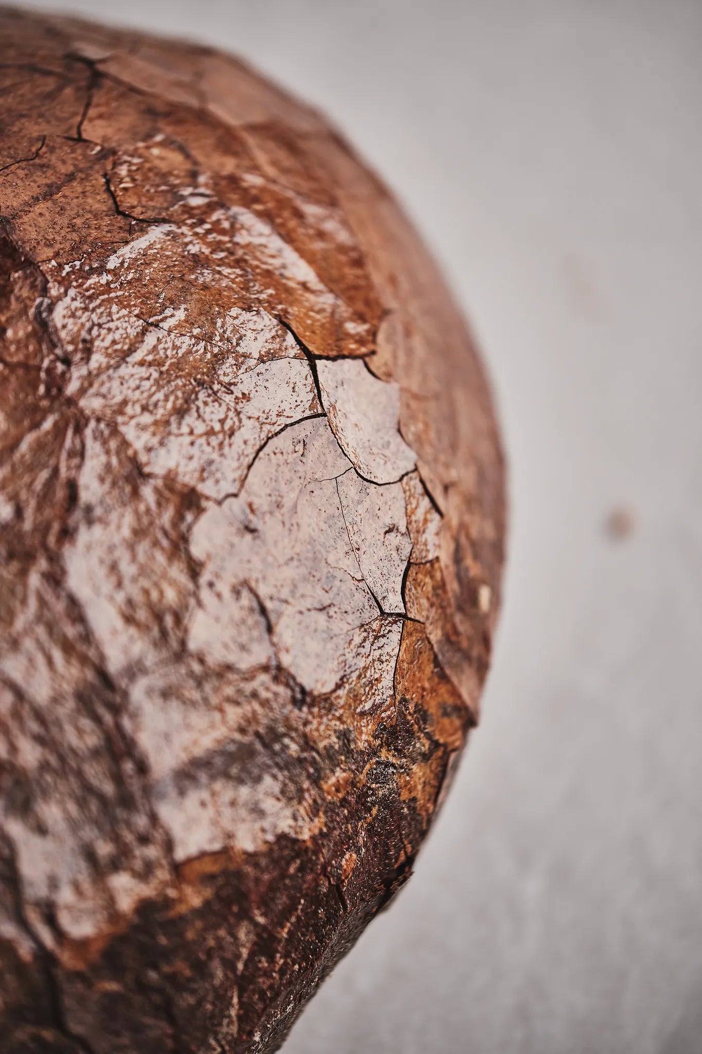 Spezialbrot