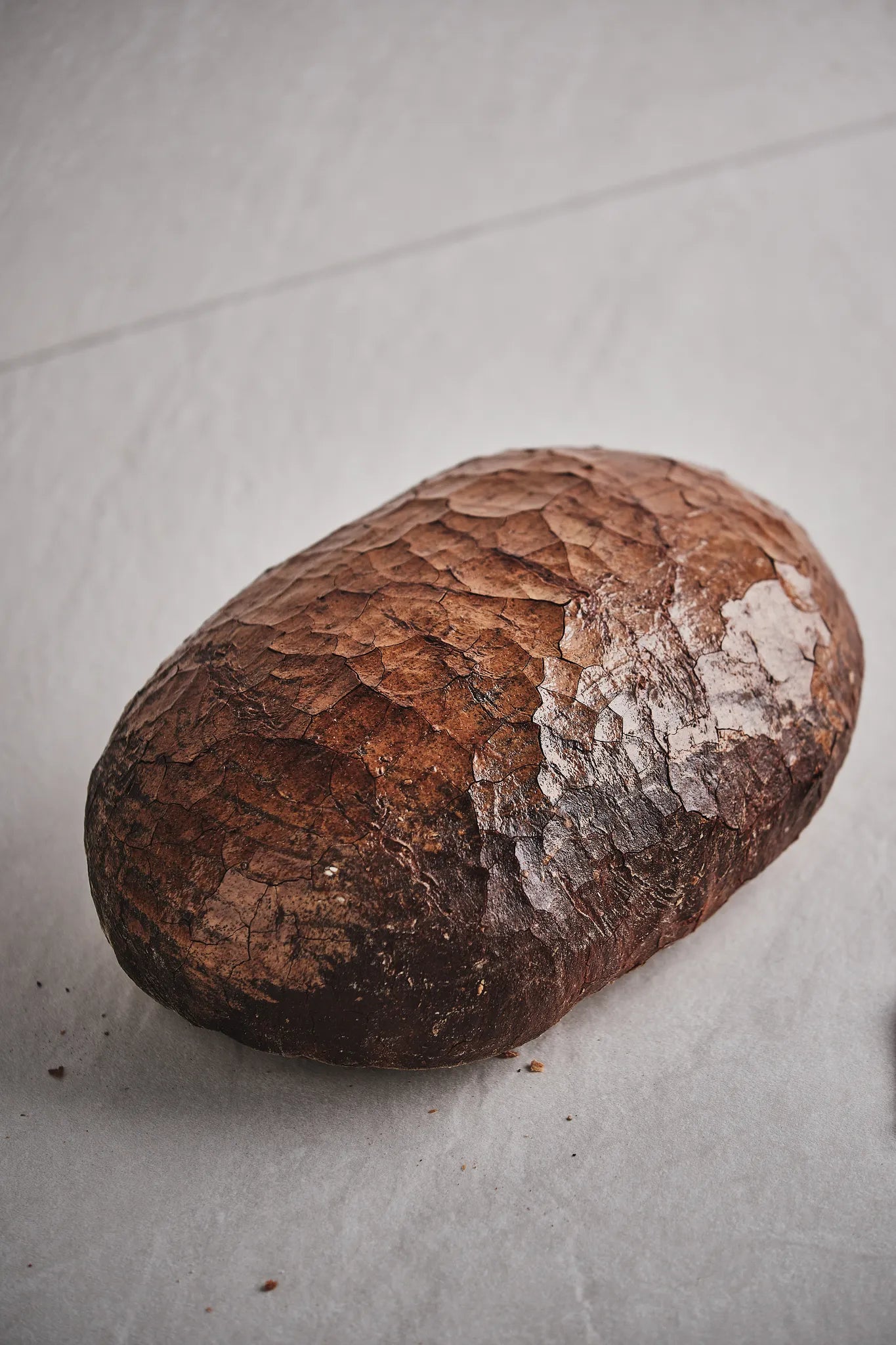 Spezialbrot
