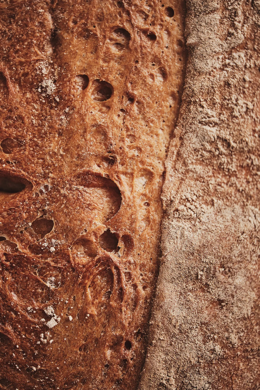 Holzkohlebrot