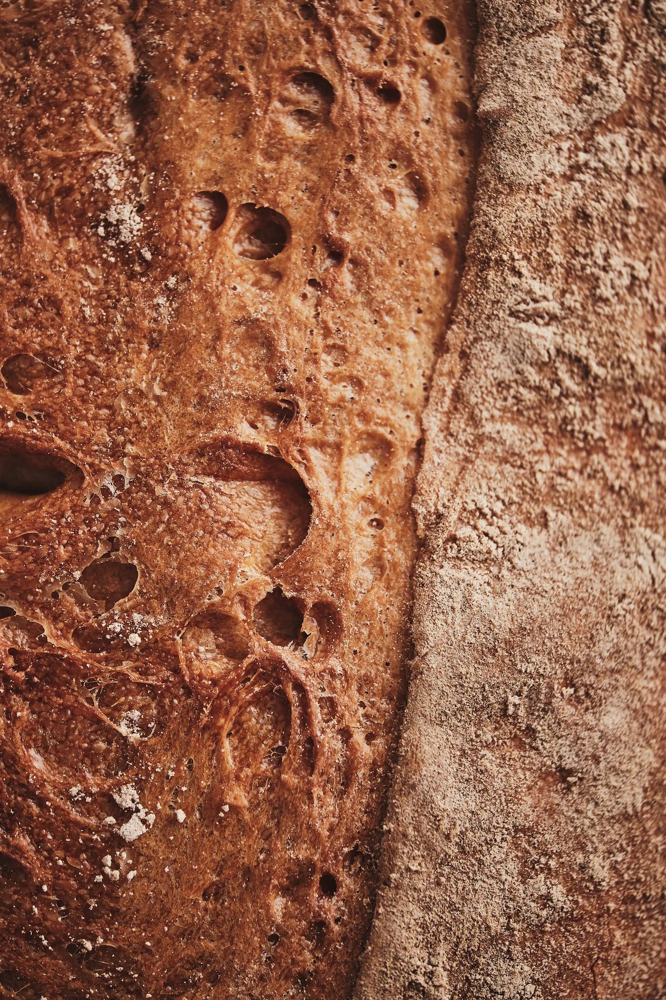 Holzkohlebrot