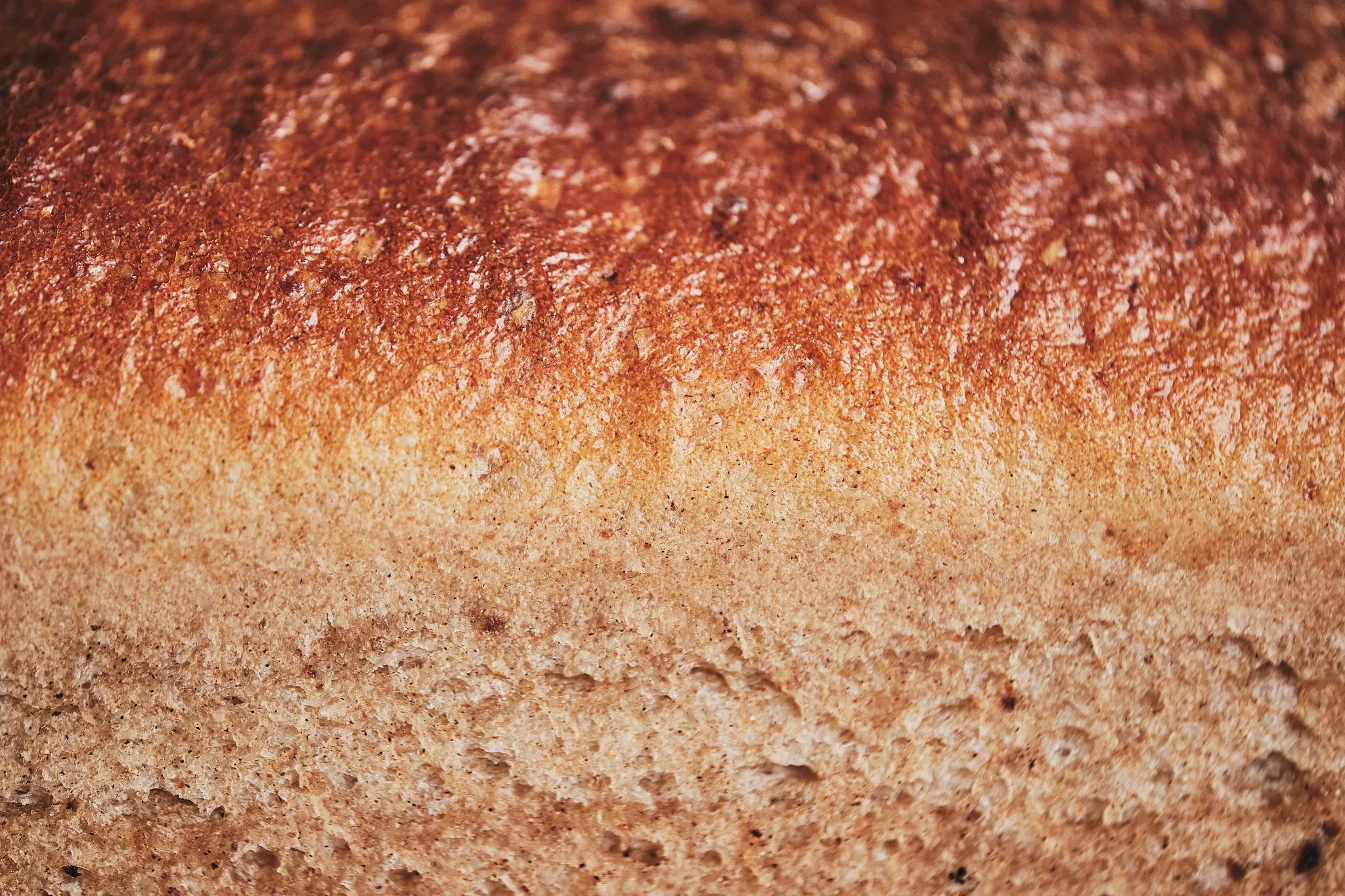 Feinbrot