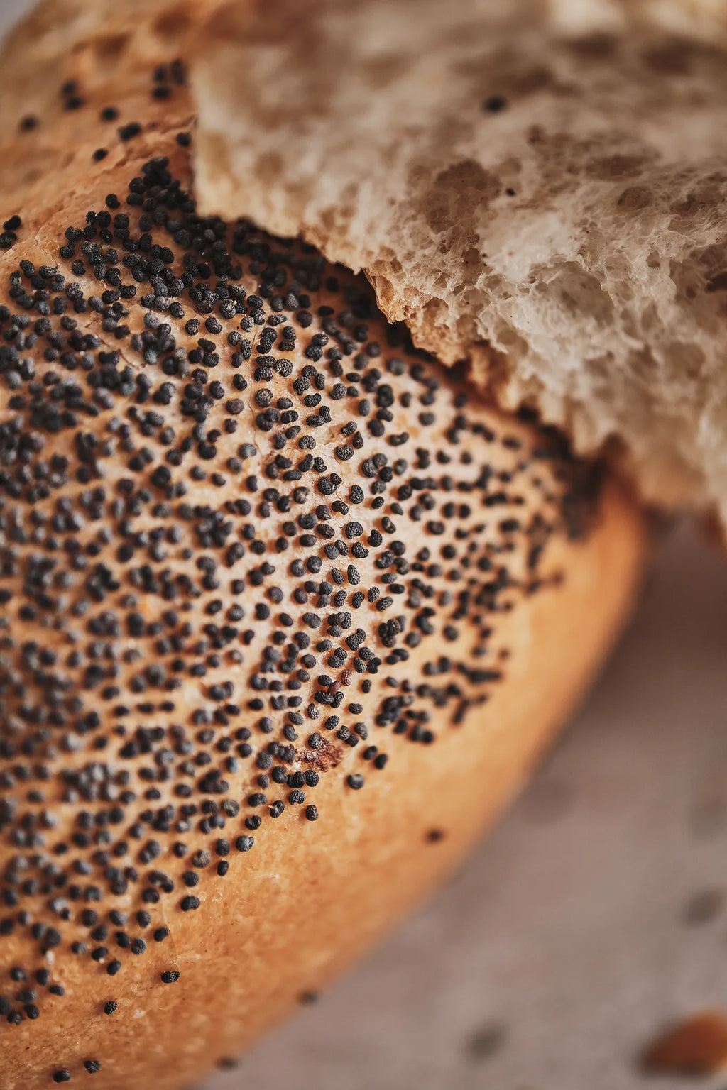 Mohnbrötchen