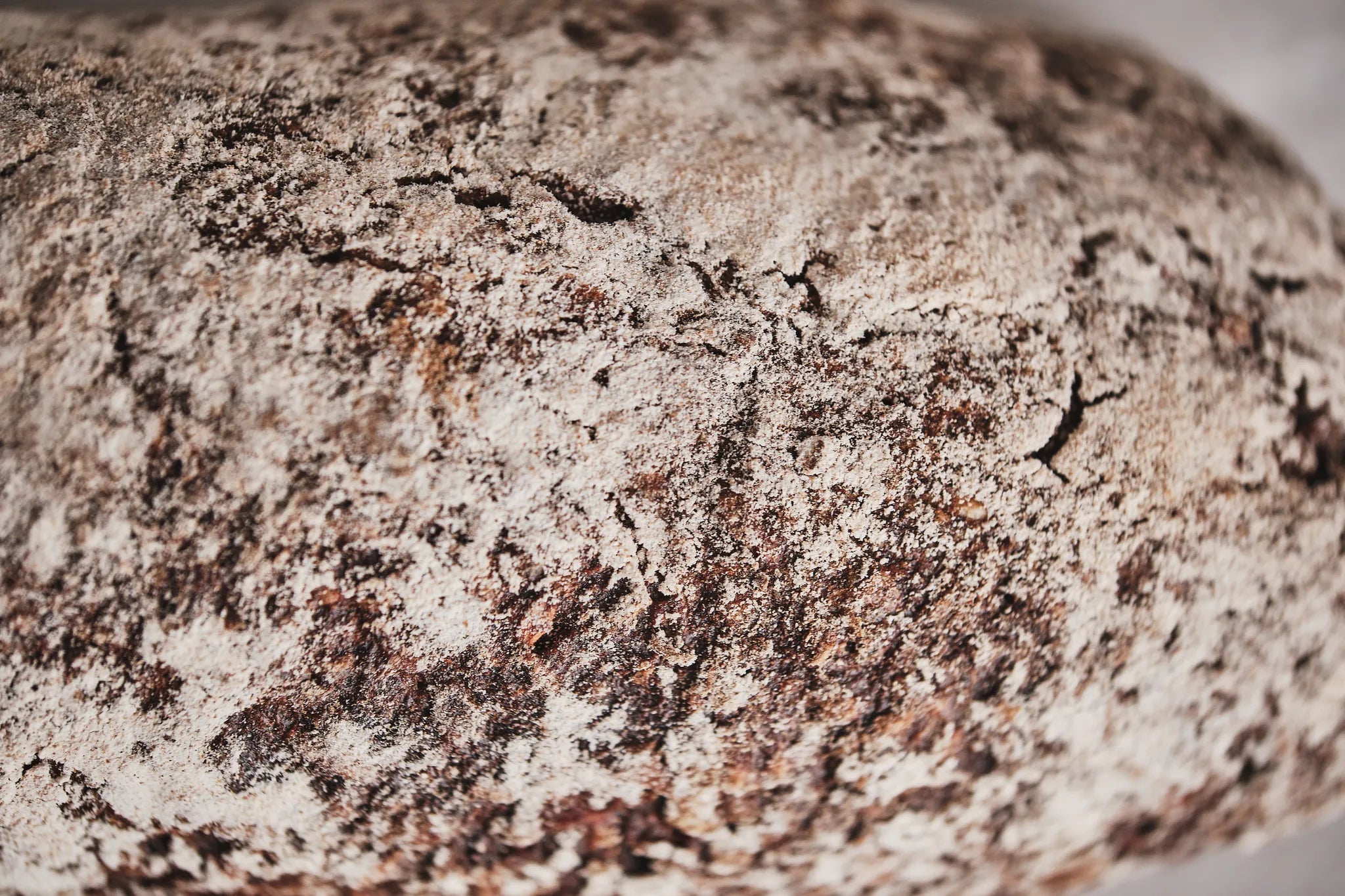Walnuss-Schwarzbrotstange